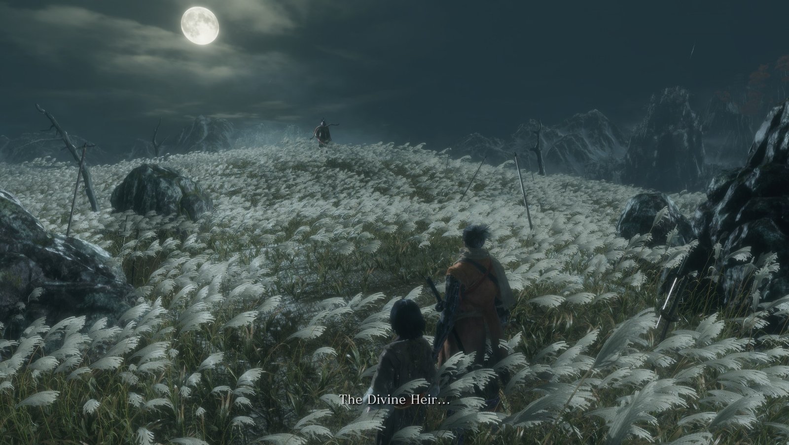 Wolf and Kuro face down one of the many coveters of the immortality blessing.